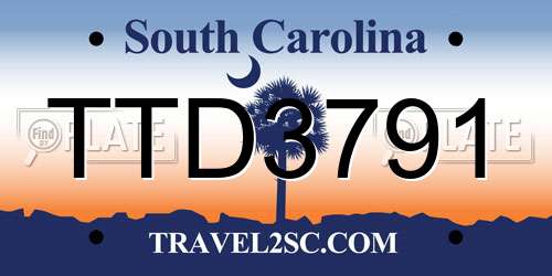 TTD3791 South Carolina License Plate