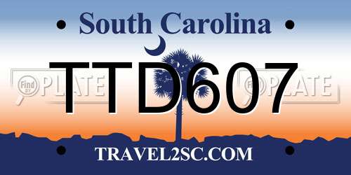 TTD607 South Carolina License Plate