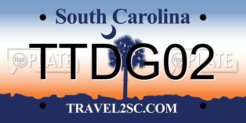 TTDG02 South Carolina License Plate