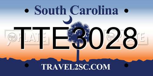 TTE3028 South Carolina License Plate