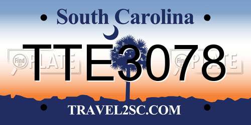TTE3078 South Carolina License Plate