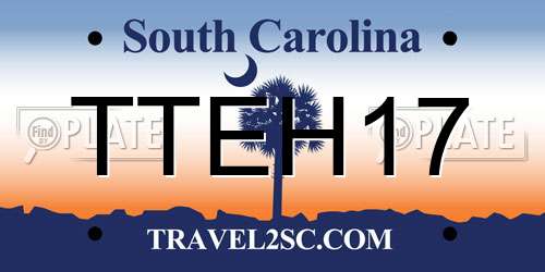 TTEH17 South Carolina License Plate