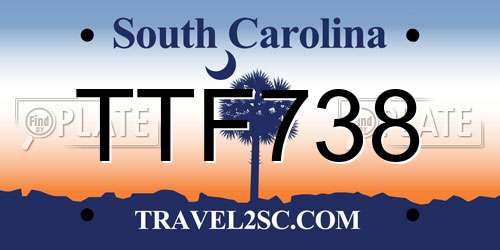 TTF738 South Carolina License Plate