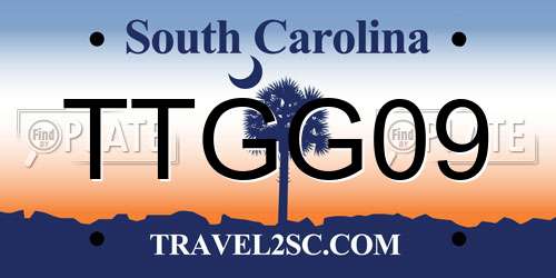 TTGG09 South Carolina License Plate