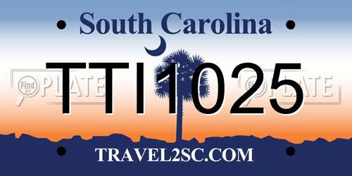 TTI1025 South Carolina License Plate