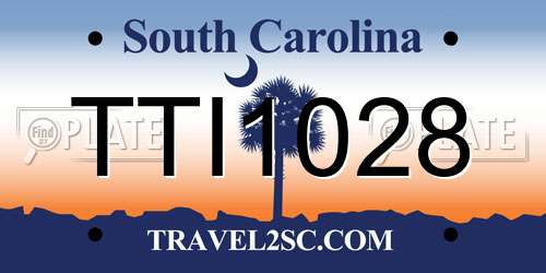 TTI1028 South Carolina License Plate