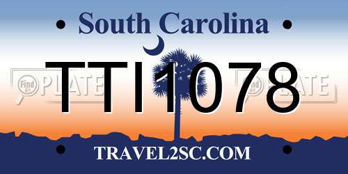 TTI1078 South Carolina License Plate