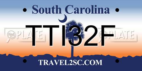 TTI32F South Carolina License Plate