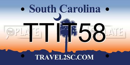 TTIT58 South Carolina License Plate
