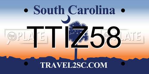 TTIZ58 South Carolina License Plate