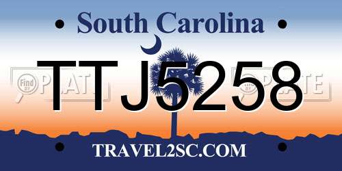 TTJ5258 South Carolina License Plate