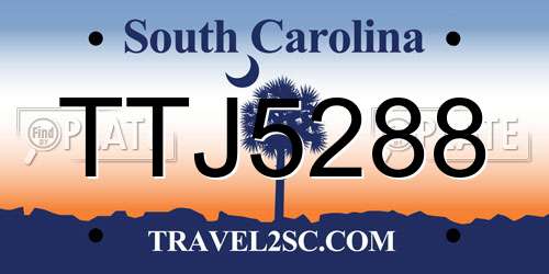 TTJ5288 South Carolina License Plate