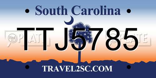 TTJ5785 South Carolina License Plate