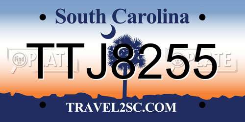 TTJ8255 South Carolina License Plate
