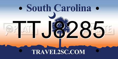 TTJ8285 South Carolina License Plate