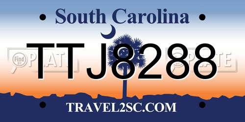 TTJ8288 South Carolina License Plate
