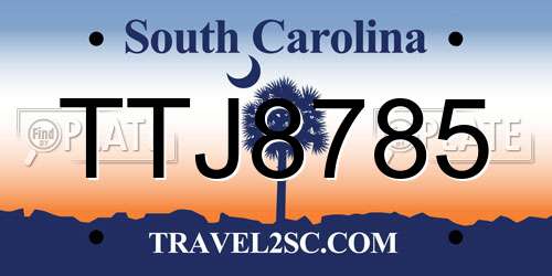 TTJ8785 South Carolina License Plate