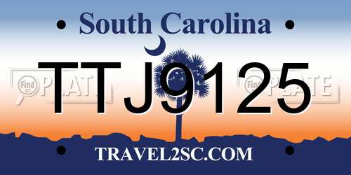TTJ9125 South Carolina License Plate