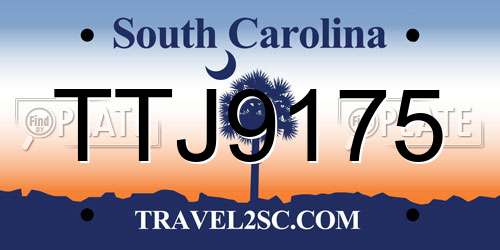 TTJ9175 South Carolina License Plate