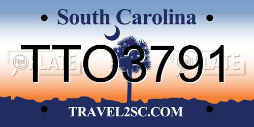 TTO3791 South Carolina License Plate