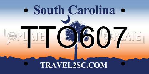 TTO607 South Carolina License Plate