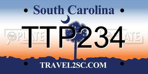 TTP234 South Carolina License Plate