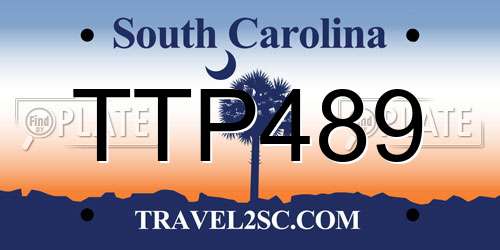 TTP489 South Carolina License Plate