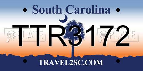 TTR3172 South Carolina License Plate