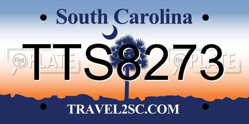 TTS8273 South Carolina License Plate