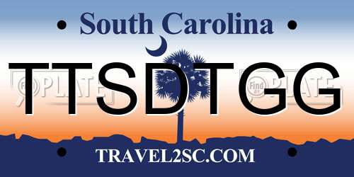 TTSDTGG South Carolina License Plate
