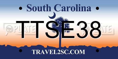 TTSE38 South Carolina License Plate