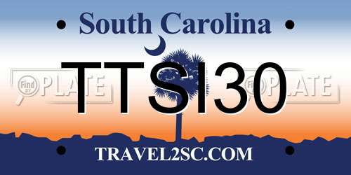 TTSI30 South Carolina License Plate
