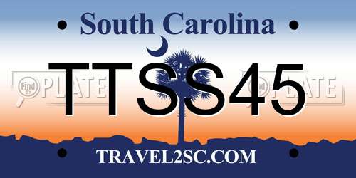 TTSS45 South Carolina License Plate
