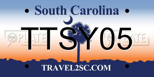 TTSY05 South Carolina License Plate