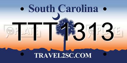 TTT1313 South Carolina License Plate