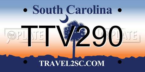 TTV290 South Carolina License Plate