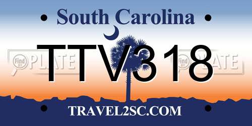 TTV318 South Carolina License Plate