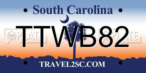TTWB82 South Carolina License Plate