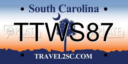 TTWS87 South Carolina License Plate