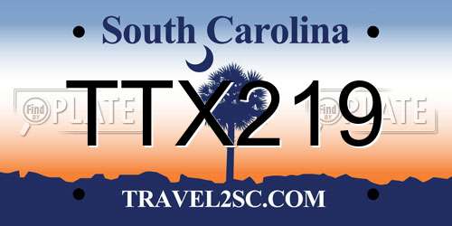 TTX219 South Carolina License Plate