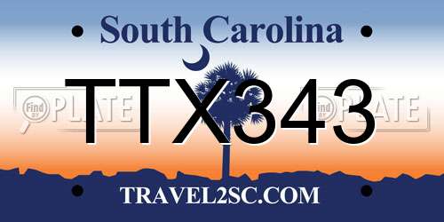 TTX343 South Carolina License Plate
