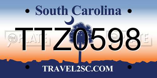 TTZ0598 South Carolina License Plate