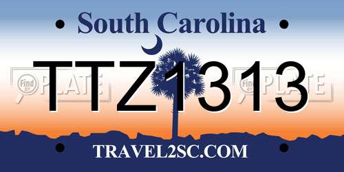 TTZ1313 South Carolina License Plate