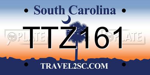 TTZ161 South Carolina License Plate