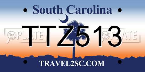 TTZ513 South Carolina License Plate