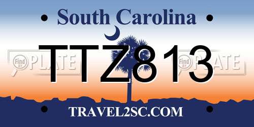 TTZ813 South Carolina License Plate