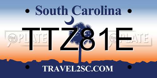 TTZ81E South Carolina License Plate