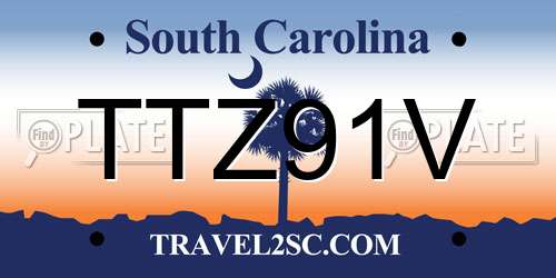 TTZ91V South Carolina License Plate
