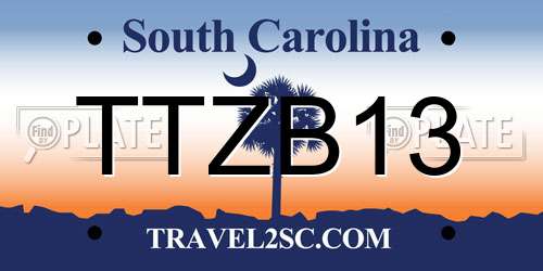 TTZB13 South Carolina License Plate
