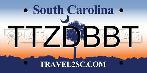 TTZDBBT South Carolina License Plate
